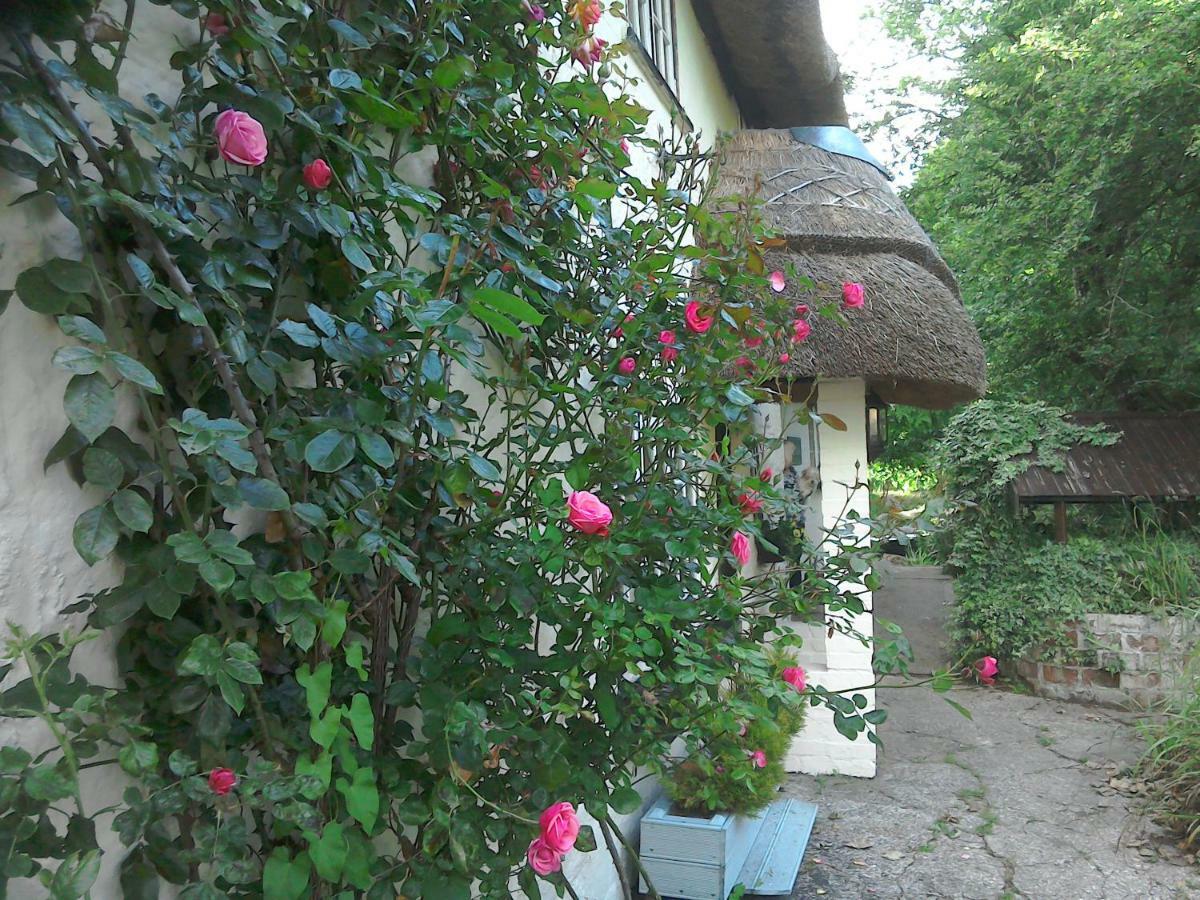 The Crown Inn Alvediston Exterior foto