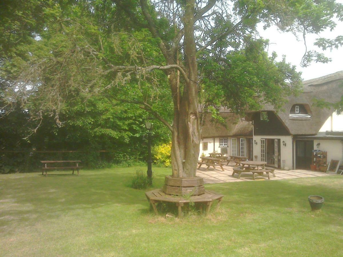 The Crown Inn Alvediston Exterior foto